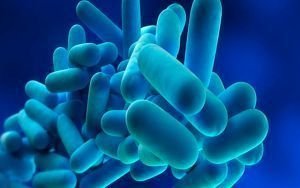 Curso de Legionella: Prevención y Control 2 Créditos ECTS