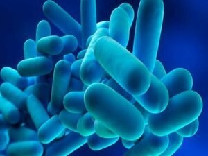 curso de legionella