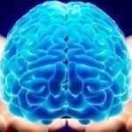 Curso de Neuromarketing 2 Créditos ECTS