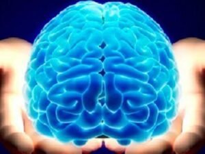 curso de neuromarketing