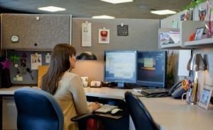 Curso de Prevención de Riesgos Laborales en Oficinas y Despachos | 2 Créditos ECTS