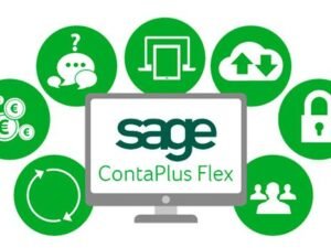 Curso de contaplus flex