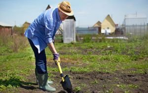 Prevención de Riesgos Laborales en el Sector Agrícola