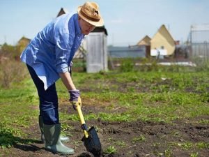 prevención de riesgos laborales en el sector agrícola