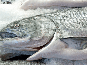 APPCC para productos pesqueros