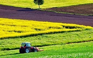 Prevención en el Sector Agropecuario
