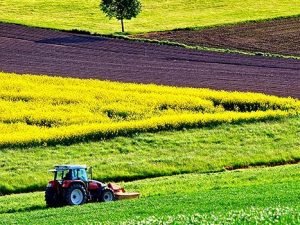 prevención en el sector agropecuario