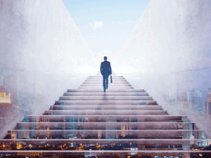 Megapack 40 cursos online