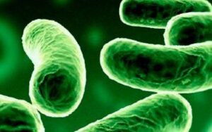 Curso de biocidas