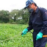 Curso de Fitosanitarios | 4 Créditos ECTS