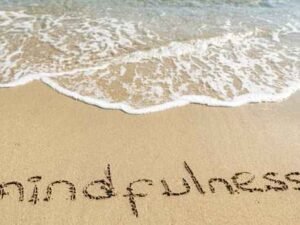 Curso de Monitor de Mindfulness