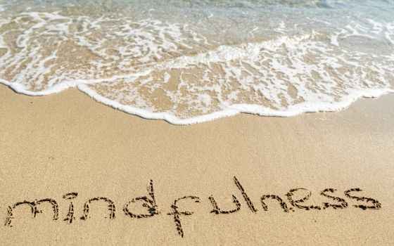 Curso de Monitor de Mindfulness