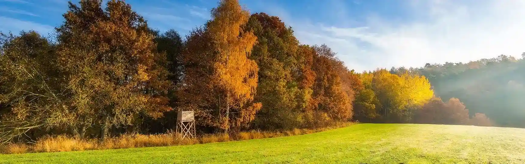 Master en Gestión de Calidad y Medio Ambiente