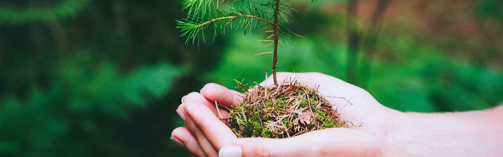 CUE en Gestión de Calidad